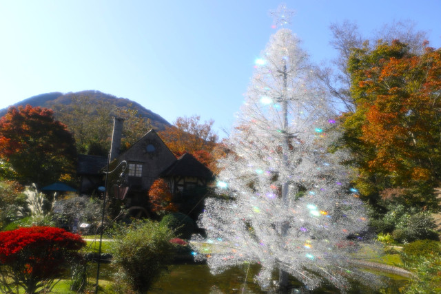 箱根ガラスの森美術館　クリスタル・ツリー「アベーテ」